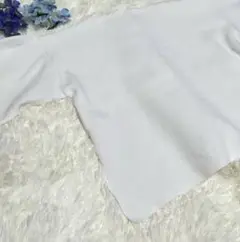 【ディニテコリエ】トップス　カットソー　白　フリーサイズ