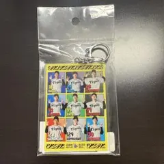 阪神タイガース　キーホルダー　ルーキー集合