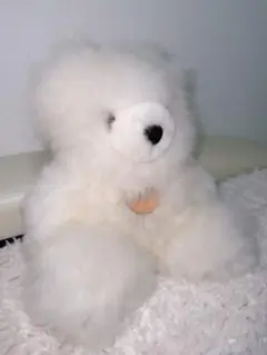 くま　ぬいぐるみ　アルパカ