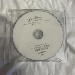 Blue Mash DVD バンド