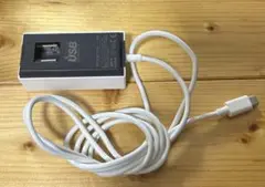 急速充電器　ジャンク品　SB-AC20-TCPD