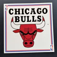 NBA Official アリーナ装飾用POP シカゴブルズ