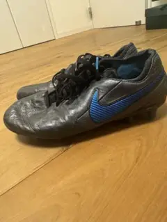 ティエンポレジェンド8 25cm