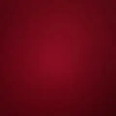 専用
