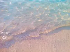 @様 ページ