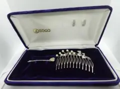 Item thumbnail for item 8a7012db-9c9e-46ed-95a1-3a6bd2bb8650