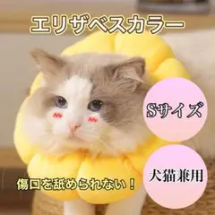 Item thumbnail for item af01c5ec-2743-4139-89a1-2ea6f95c4276