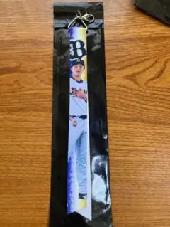 オリックス フォトボンフィン第2弾 017 陳睦衡投手