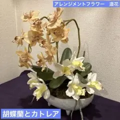 Item thumbnail for item efa4b0ea-e1c9-4b6d-a729-b6f575475e51