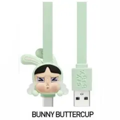CRYBABY × Powerpuff Girls Cable type-C ③