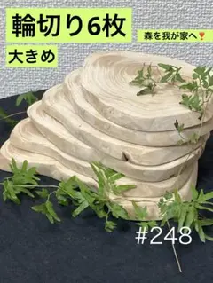 Item thumbnail for item 2c908fde-33b9-40f4-b285-48068c8ab2c8