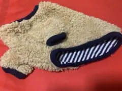 N フレンチブルドッグ　小型犬　プードルファートレーナー