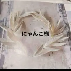 にゃんこ様