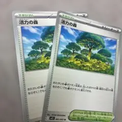 まとめ5枚