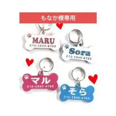 Item thumbnail for item 5f50998b-8289-4dc9-b1c6-5e644ecf8258