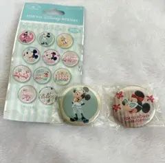 ディズニーランド カンバッジコレクション