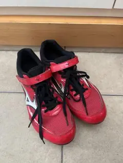 Item thumbnail for item 50ec0b70-5116-4fcc-bebe-7fbaba99c09a