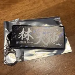 ガンバ大阪　フェイスタオル型キーホルダー　9 林