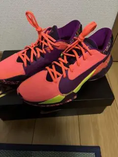 NIKE ズームフリーク2 28.5cm