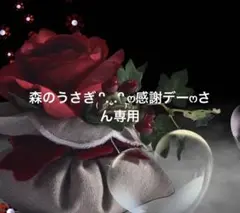 森のうさぎ₍ᐢ.ˬ.ᐢ₎ෆ感謝デーෆさん専用