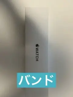 Apple Watch ブラックバンド