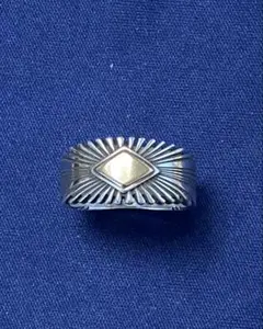 Item thumbnail for item 6b522f55-6fff-4c18-9088-c1a77001ea59