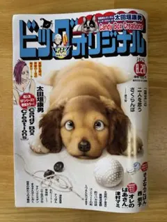 ビッグコミックオリジナル 2025年8月20日号