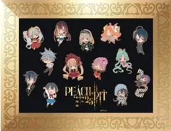 PEACH-PIT 25周年 特別展 PEACH-PIT展 ピンズ13種セット