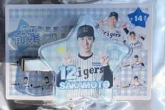 阪神タイガース　シークレット　坂本誠志郎