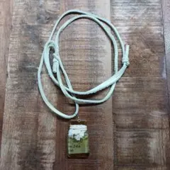 Item thumbnail for item 7080b61d-0f4e-4b84-baf1-8180a3742267