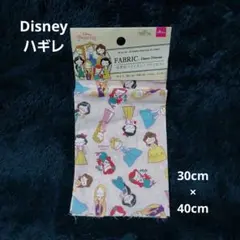 Item thumbnail for item 74c60c76-7fc0-4cec-bb42-9f3d90e2a457
