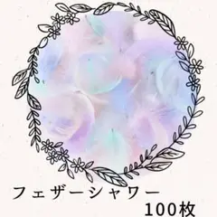 フェザーシャワー ❤ パステルカラー (100枚)