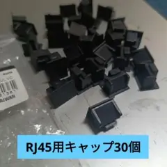 RJ45 LAN コネクタカバー ブラック 30個