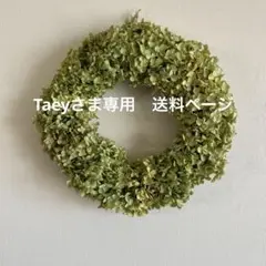 Taeyさま専用　送料ページ