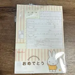 ミッフィー　出生届
