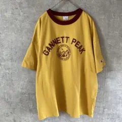チャンピオン Gannett Peak リンガーTシャツ ビッグシルエット L