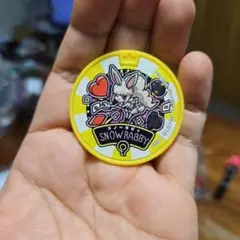 スノーラビィ　ドリームメダル
