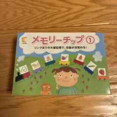 メモリーチップ 1 しちだ