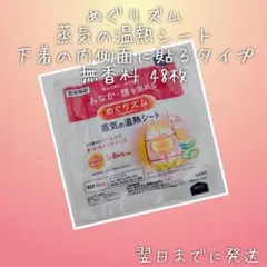 花王 めぐりズム 蒸気の温熱シート 無香料 下着の内側面に貼るタイプ