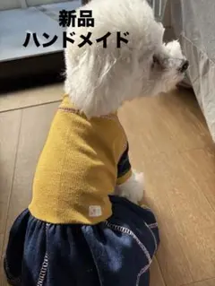 Item thumbnail for item 256df7a2-3664-4b99-bddc-eb82305d4033