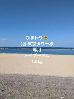 Item thumbnail for item e90639d9-7948-4880-b92f-790d8c56ffe4