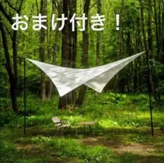 年末限定価格❗️おまけ付き❗️Telo TCウイング『looks』ホワイト
