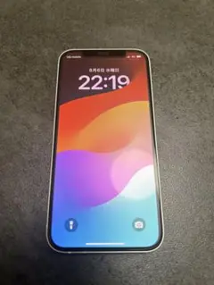 最終値引き　iphone12 本体 128GB ケース付き