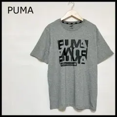 【夏物セール】プーマ パフォーマンス グラフィックTシャツ M グレー