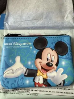 ポーチ ミッキー ディズニー パスポート柄