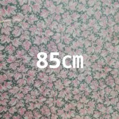 ヌザード　サンドピンク　リバティ　タナローン　85㎝