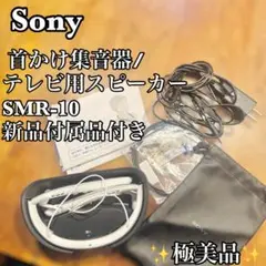 Item thumbnail for item 42fa7b47-5f3a-4775-bf12-54d7a5cb3241