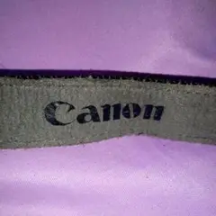 Item thumbnail for item 2ce41c5e-ef48-497a-aca0-87d32503282a