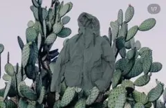 Souvenir Hunter M/L P. CACTUS