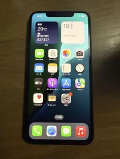 iPhone 11 promax 512GBミッドナイトグリーン　値下げ不可